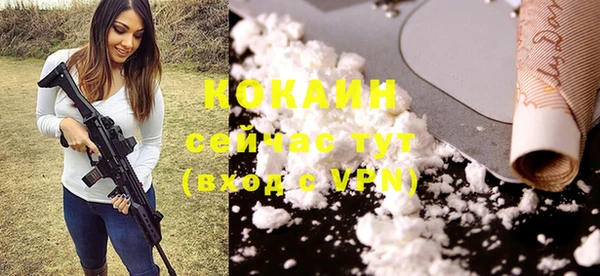 сатива Корсаков