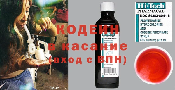 прущие грибы Костерёво