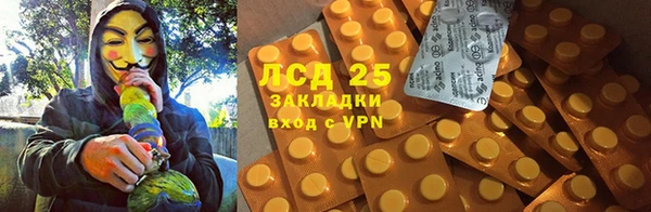 шишки Краснослободск