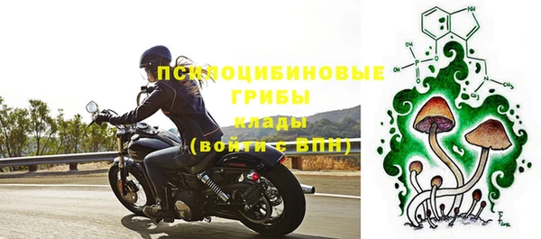 герыч Козельск