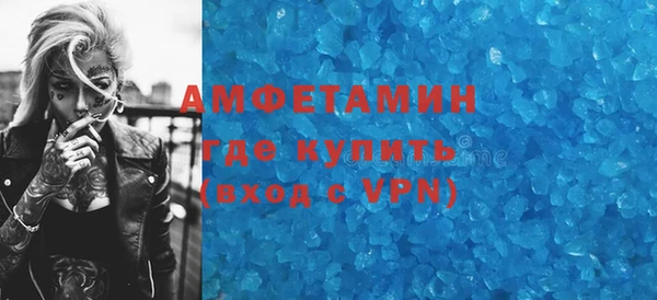 шишки Краснослободск