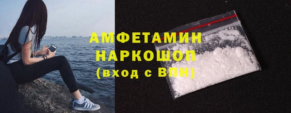 сатива Корсаков