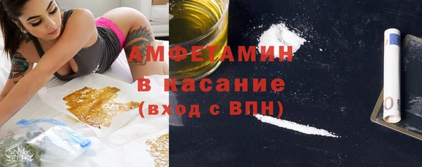 шишки Краснослободск